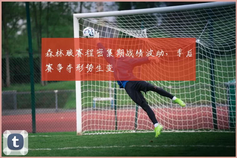 森林狼赛程密集期战绩波动，季后赛争夺形势生变