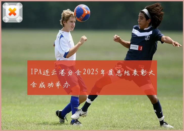IPA连云港分会2025年度总结表彰大会成功举办