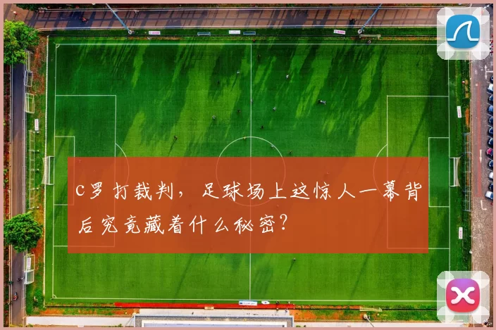 c罗打裁判，足球场上这惊人一幕背后究竟藏着什么秘密？