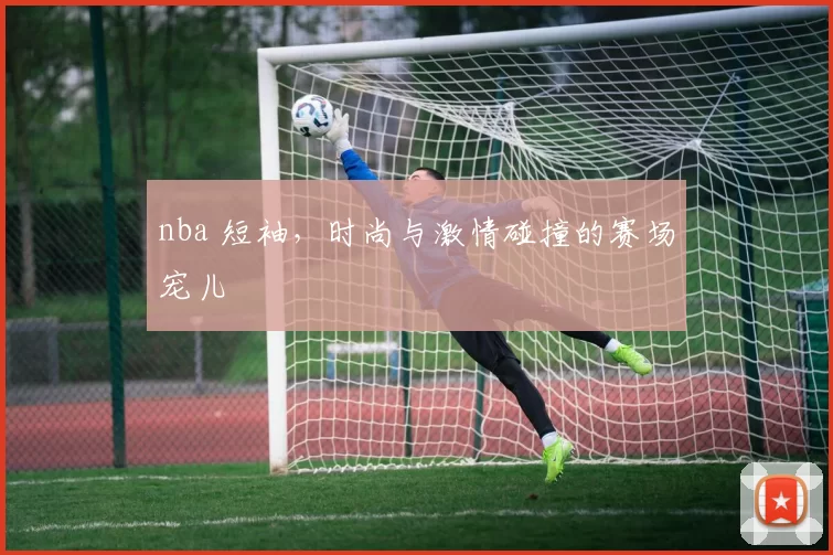 nba 短袖，时尚与激情碰撞的赛场宠儿