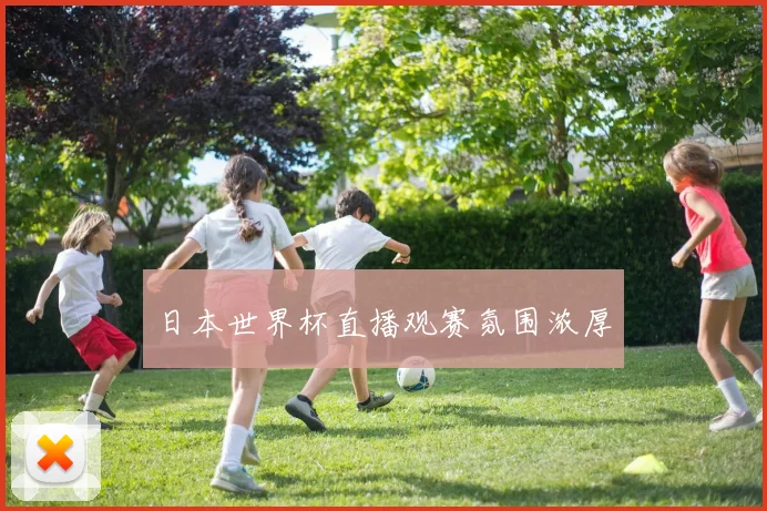 日本世界杯直播观赛氛围浓厚