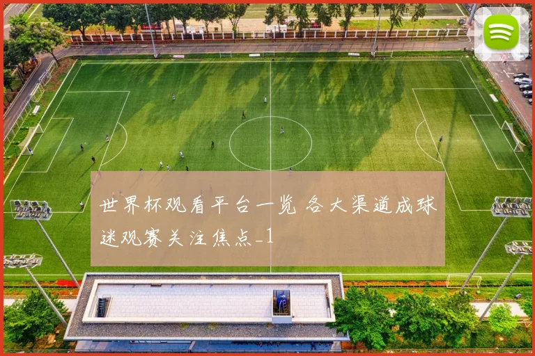 世界杯观看平台一览 各大渠道成球迷观赛关注焦点_1