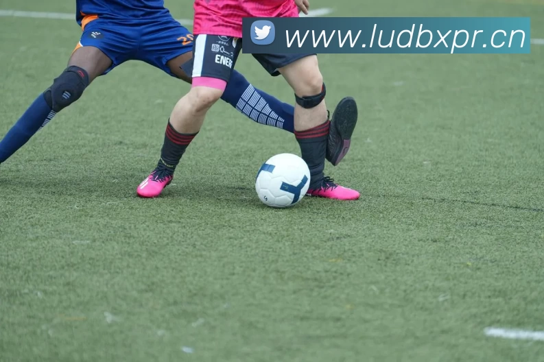 开云app官方登录入口 - 开云(中国)服务体系